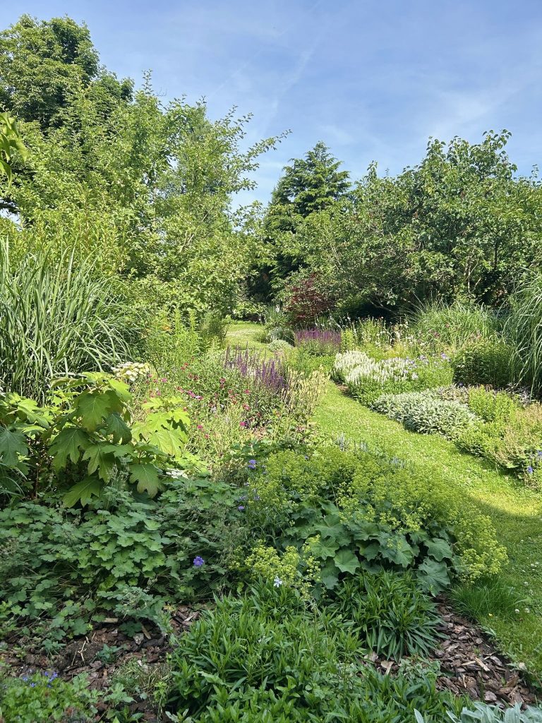 Garten einer möblierten Wohnung in Düsseldorf-Bilk